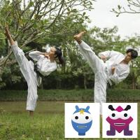 Shaolin Kung Fu - 26aug
