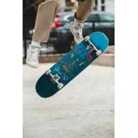 OD-sessie: Skate start