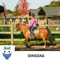 Ponyrijden - di 11aug