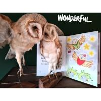 Beestige babbel: Lut en de kerkuil